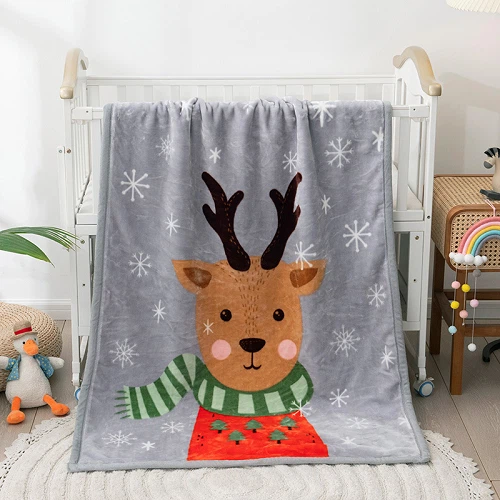 Cartoon Raschel Blanket