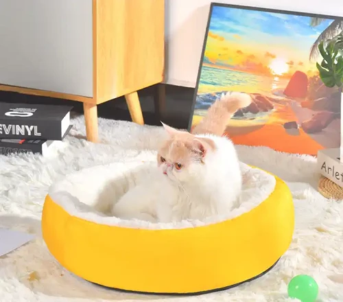 개 침대 쿠션