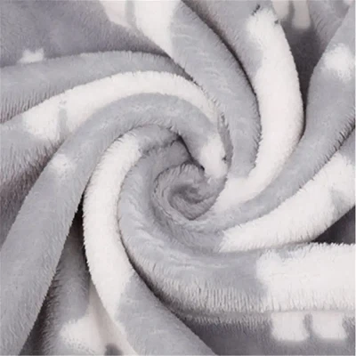 Coral Fleece Plush Fabric