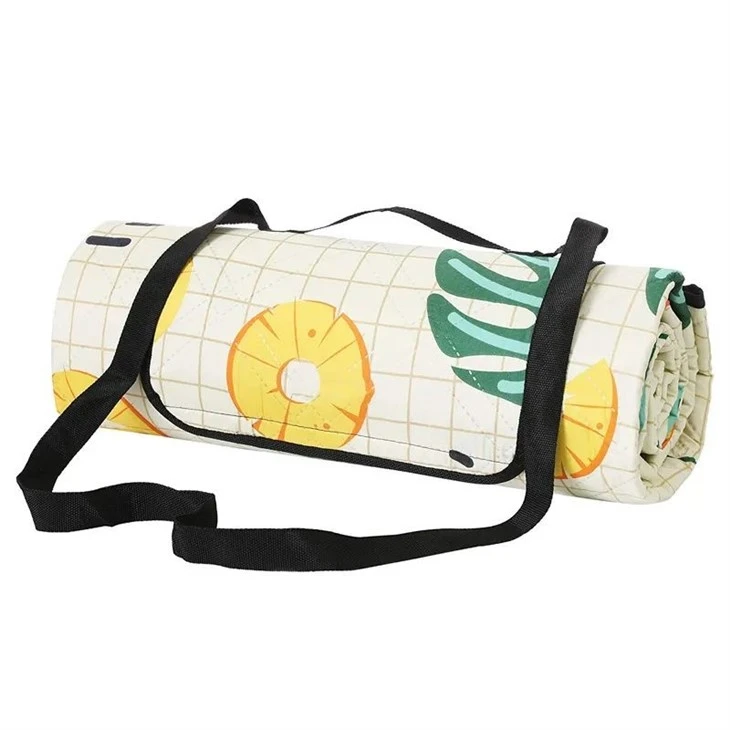 pineapple picnic blanket