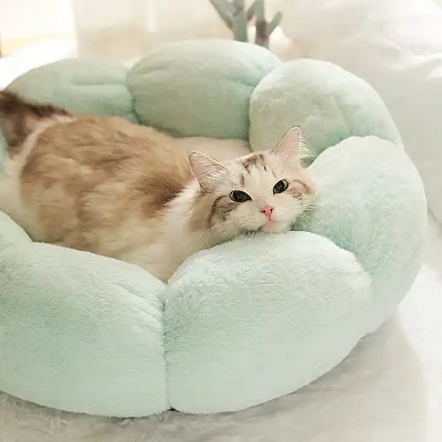 따뜻한 애완동물 쿠션